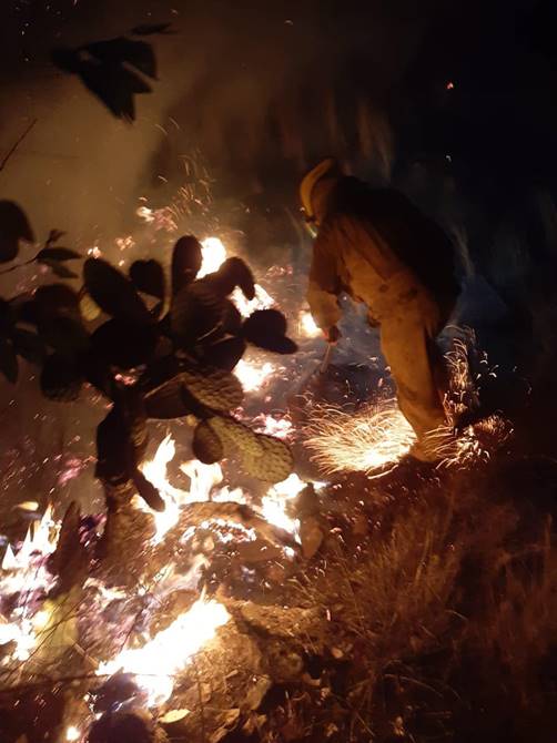 incendio 3