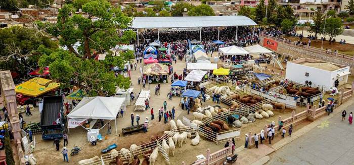 expo agropecuaria4