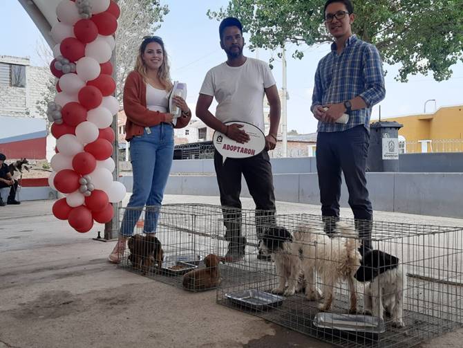 esterilizacion