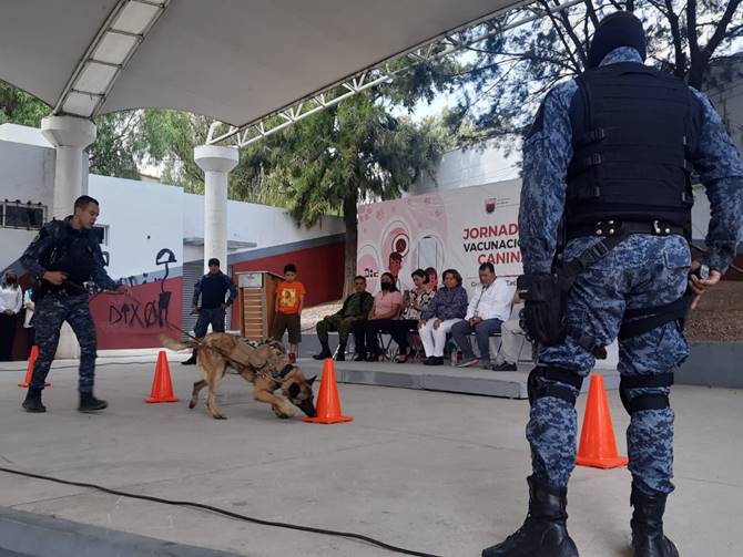 vacunacion 1