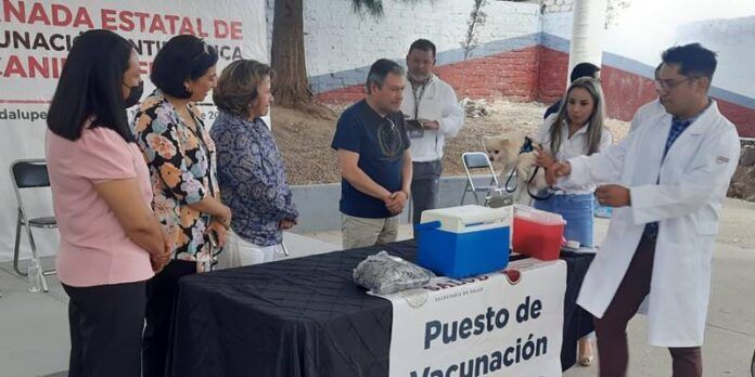 vacunacion-4c8