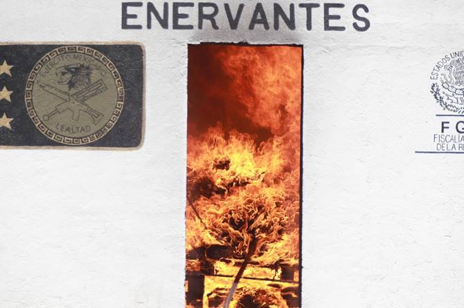 incineracion 3