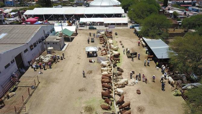 expo feria 2