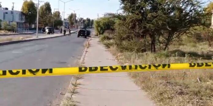 seguridad_1-388