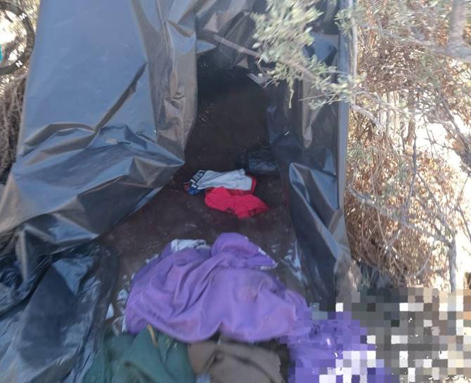 campamento 3