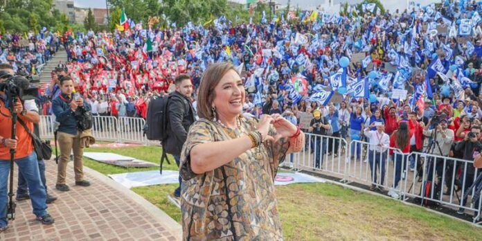 xochitl-fbb