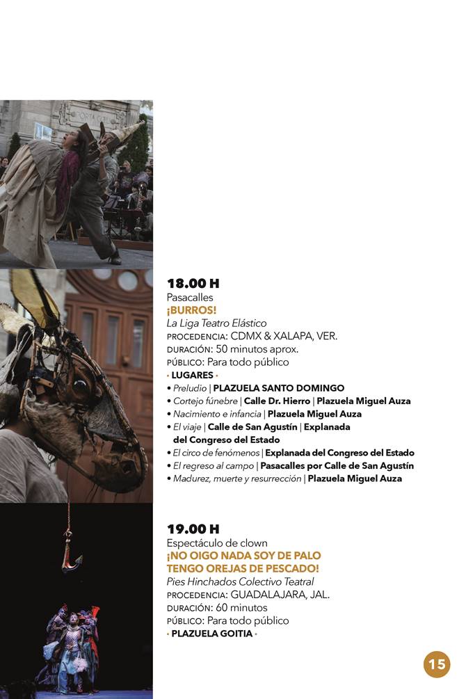 festival programa 12