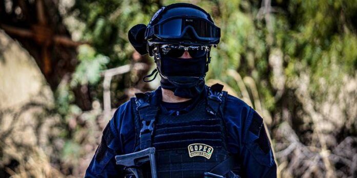 detenido-guadalupe-f7a