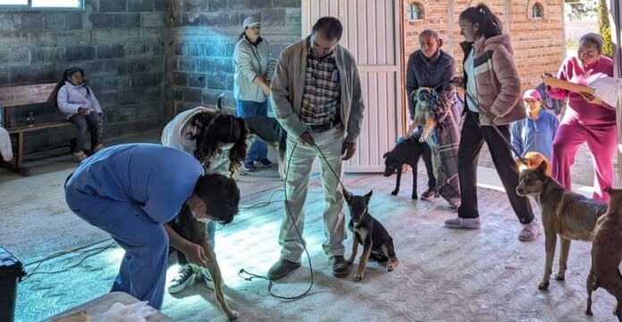 esterilizacion-2-4ba