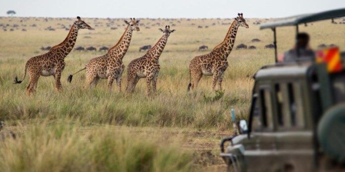 africa-960