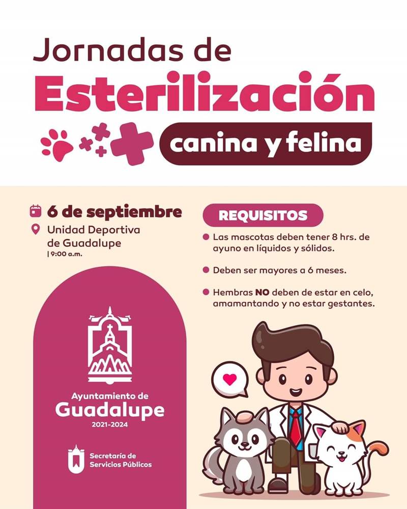 jornada esterilizacion 1