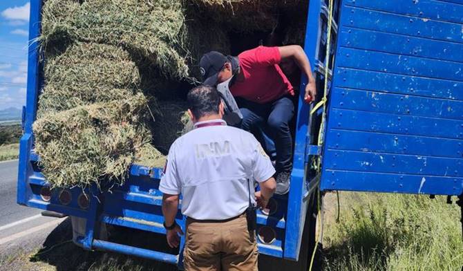 migrantes paja