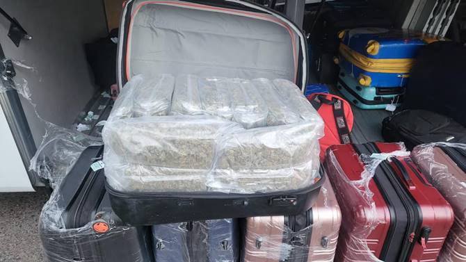 marihuana autobus 1