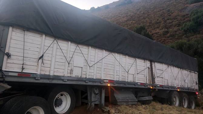 trailer universidad 2