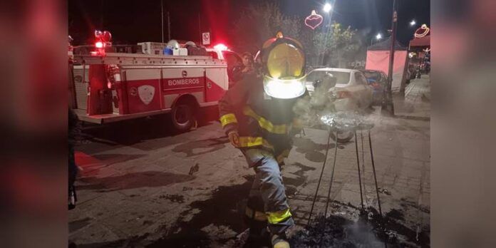 incendio-arbol-guadalupe-3-5b8