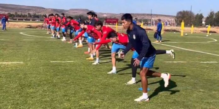 chivas-b96
