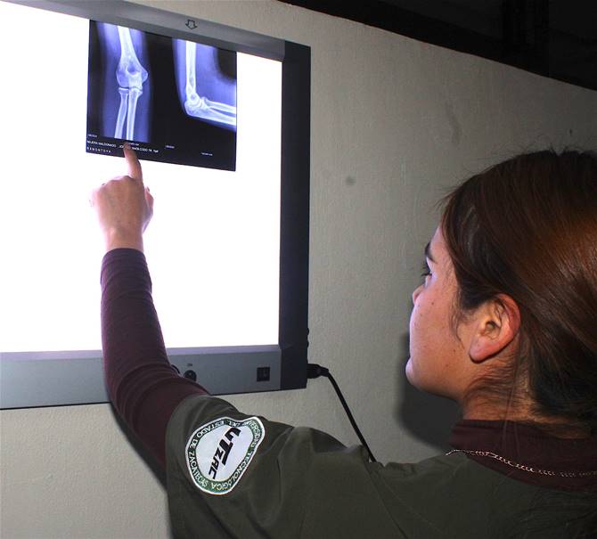 clinica utzac 2