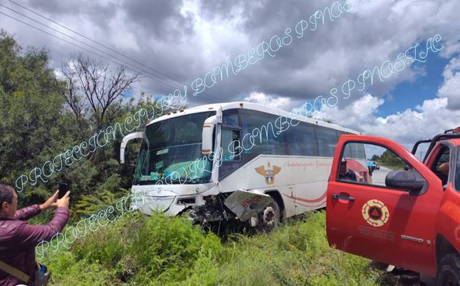 autobus pinos