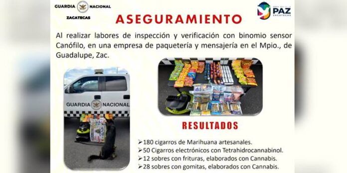 aseguramiento-perro-1-f90