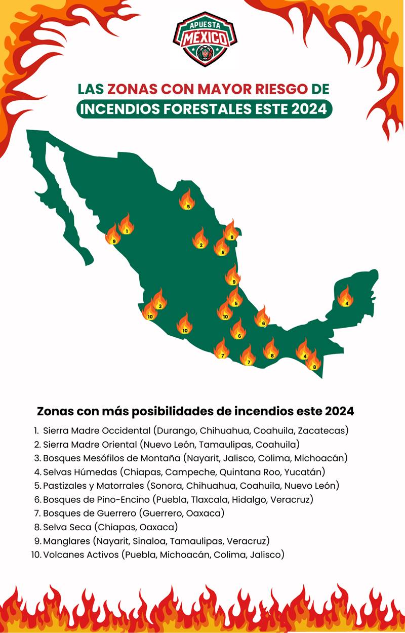 incendio forestal 1