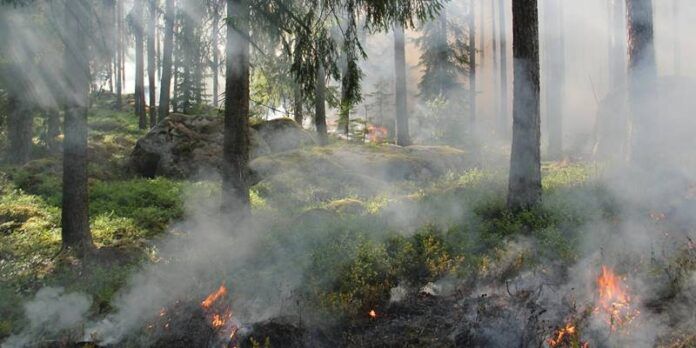incendio-forestal-7a0