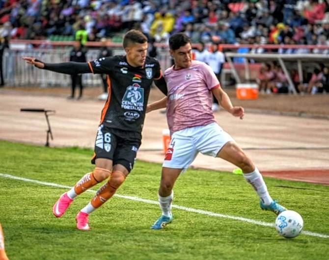 copa paz 4