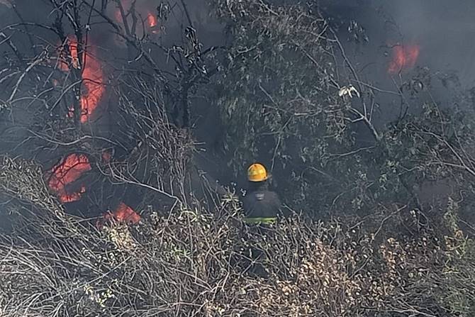 incendio trailer 1