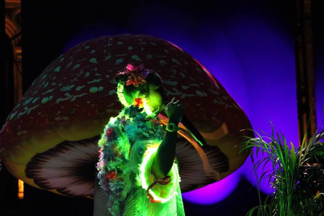 bomba estereo 1