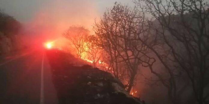 incendio-teul-0dc