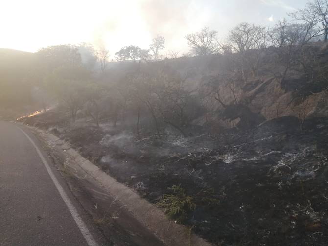 incendio teul 2