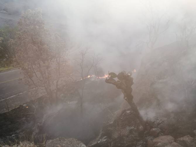 incendio teul 3