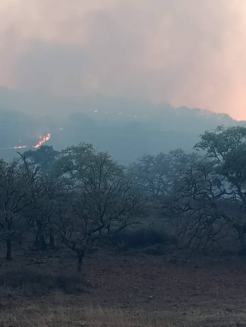 incendio teul 7