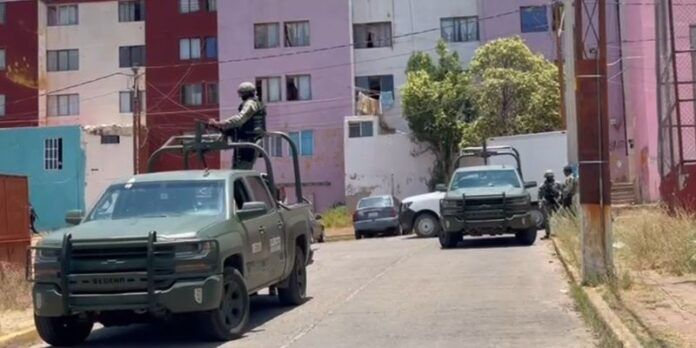 baleado-87d