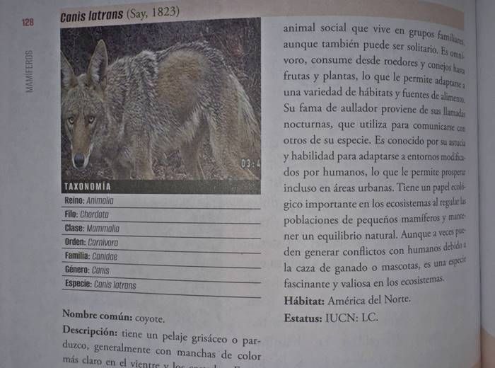 libro 10