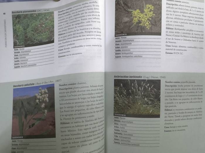 libro 2