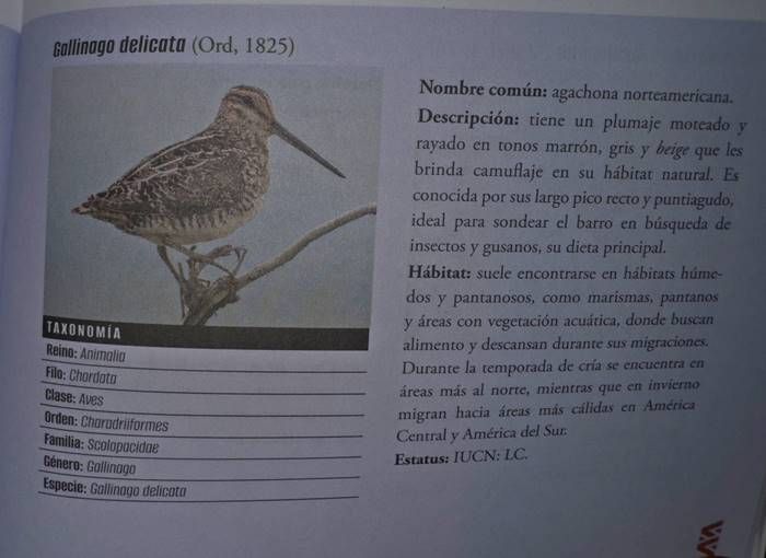 libro 3