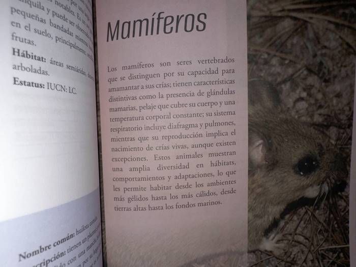 libro 5