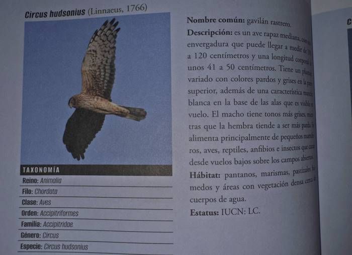libro 7