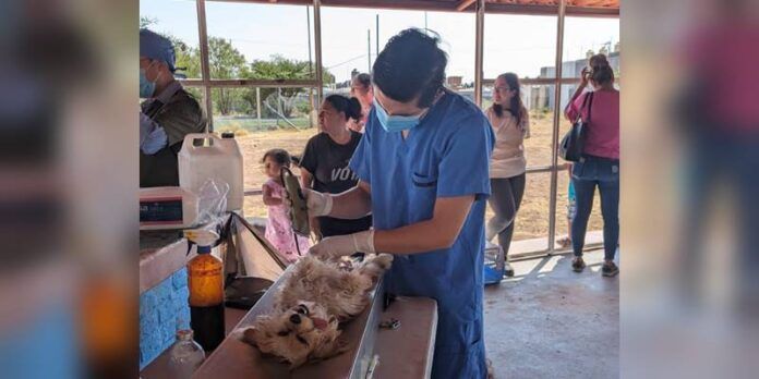 esterilizacion-1-e3e