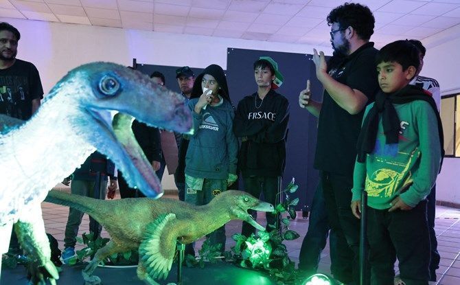 dinosaurios 5