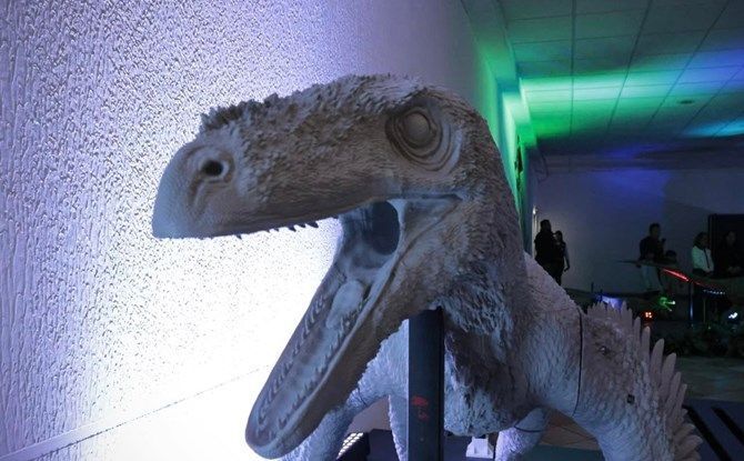 dinosaurios 7