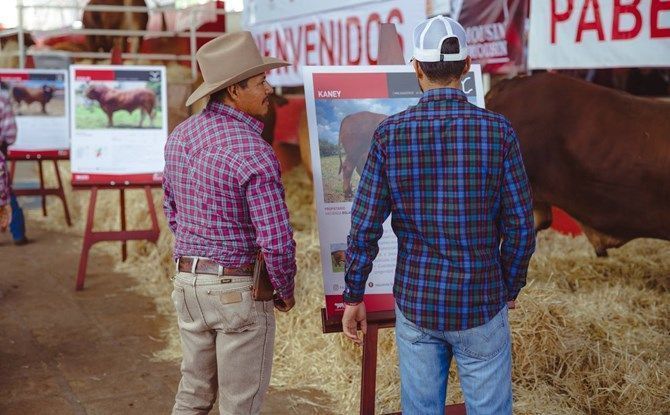 expo agropecuaria 2
