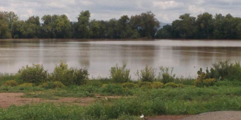presa calerilla 4