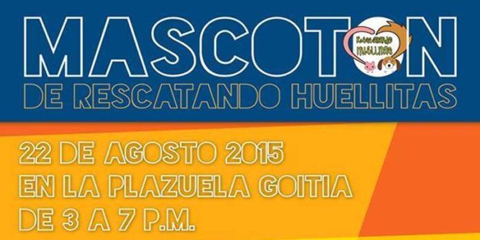 Acude al Mascotón