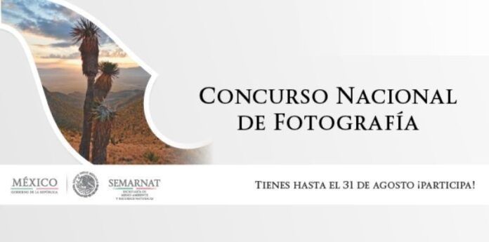 Convocatoria Convocatoria