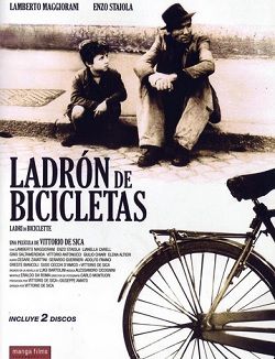 ladron bicicletas