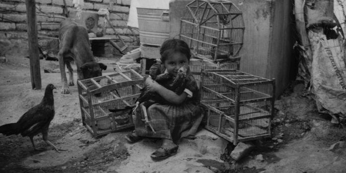 Niña jugando con gallinas, fotografía de Alfredo Salas Niña jugando con gallinas, fotografía de Alfredo Salas