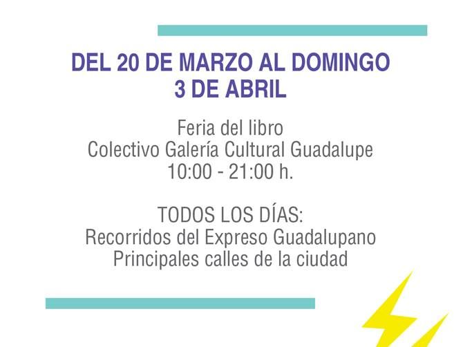 festival urbano 6