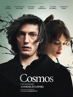 cosmos