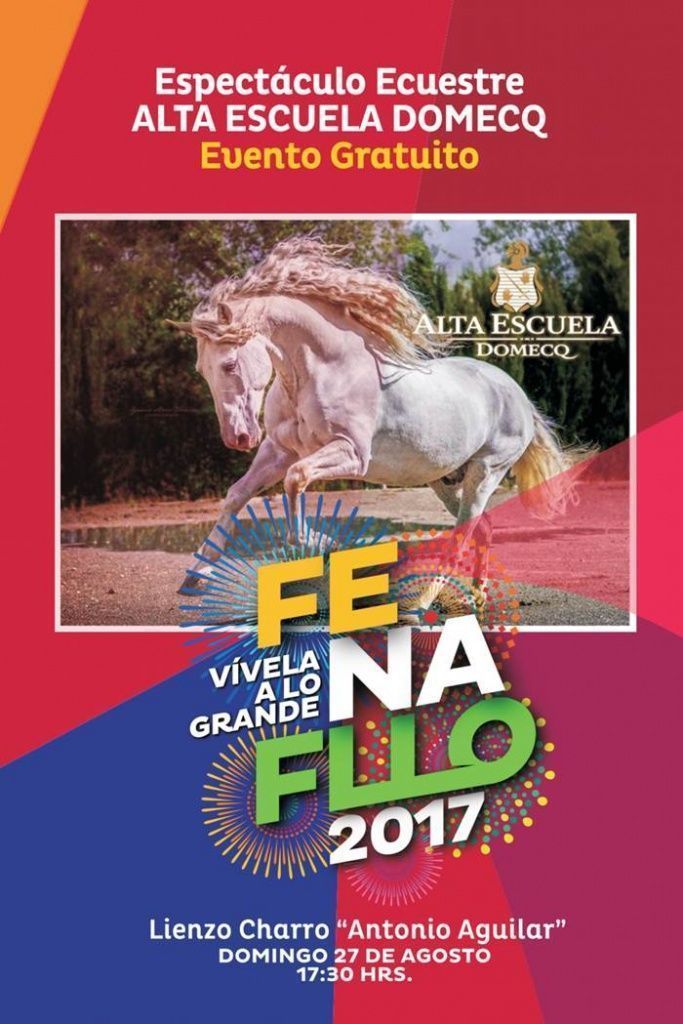 fenafllo-9.jpg